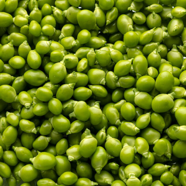 Los guisantes de La Huertona